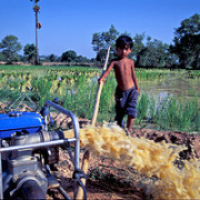 Reinvigorating agricultural productivity in the Lower Mekong