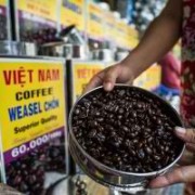 What Africa can learn from Asian supply chains