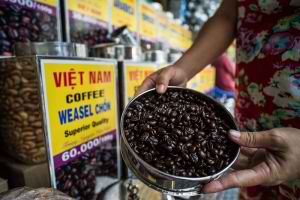 What Africa can learn from Asian supply chains