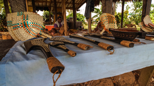 Going Digital in the Pacific Lessons from Samoa’s Online Firms