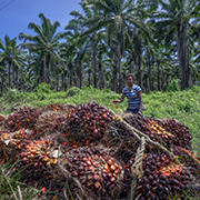 The impact of trade on employment in the Sustainable Development Goals