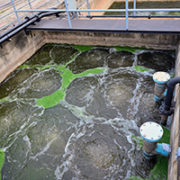 Minimizing the Cost of Fecal Sludge Management through Co-Treatment