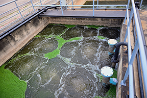 Minimizing the Cost of Fecal Sludge Management through Co-Treatment