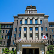 Japan's Local Government Debt Control System