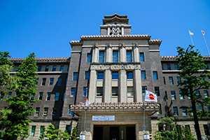 Japan's Local Government Debt Control System