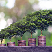 Green finance for sustainable investment