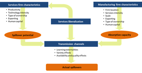 Figure 1: Conceptual framework of services spillovers