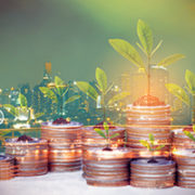 Achieving policy objectives for green bonds in ASEAN