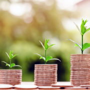 Revisiting green bond market development in Viet Nam Revisiting green bond market development in Viet Nam