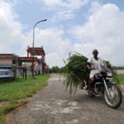 Top journal articles on sanitation reveal new policy insights Policy insights from a review of the top journal articles on sanitation