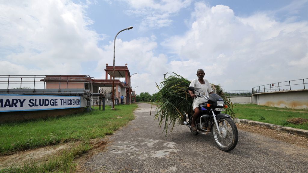 Policy insights from a review of the top journal articles on sanitation