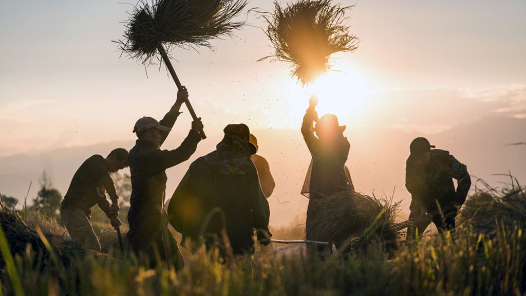 Unraveling the linkages between agriculture and climate change