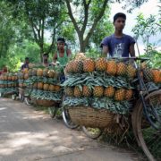 Remittance inflows giving resilience to Bangladesh’s rural economy amid COVID-19