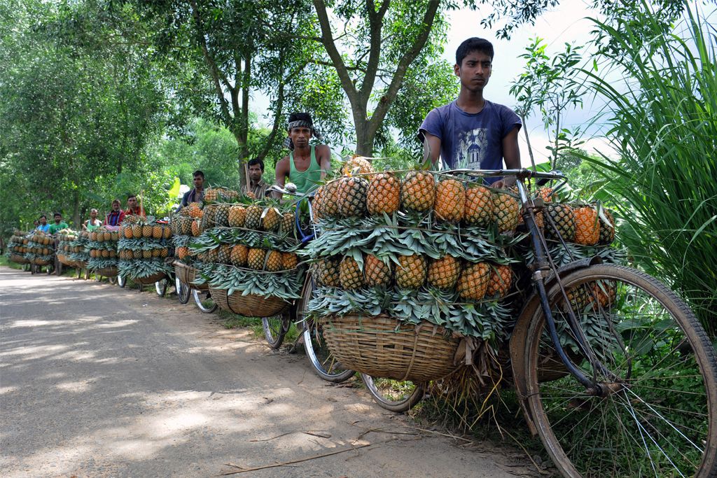 Remittance inflows giving resilience to Bangladesh’s rural economy amid COVID-19