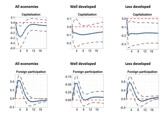 Figure 2: Responses in Capital Flow Volatility to Shocks Imposed on LCBM Capitalization and Foreign Investor Participation in LCBMs