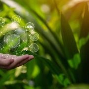 COP26-aligned fiscal policy instruments for boosting Asian green growth, sustainable recovery Fiscal policy instruments for boosting green growth and sustainable economic recovery