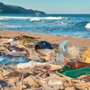 Circularity of plastics: From managing waste to generating less waste trash-on-the-sea-shore
