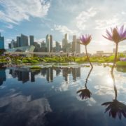 skyline-afternoon-lake