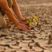 COP, from pledges to progress- Navigating the climate change landscape for 27 years