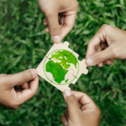 The Knowledge Ecology: The Role of Think Tanks in Global Environmental Governance Cover_The Knowledge Ecology- The Role of Think Tanks in Global Environmental Governance