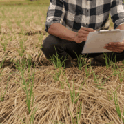 Asia’s Push to Adopt Global Climate Disclosure Standards Featured